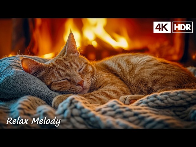 Calming Music for Cats With Anxiety🎵 Soothing Sounds For Deep Sleep, Healing Insomnia, Relaxing