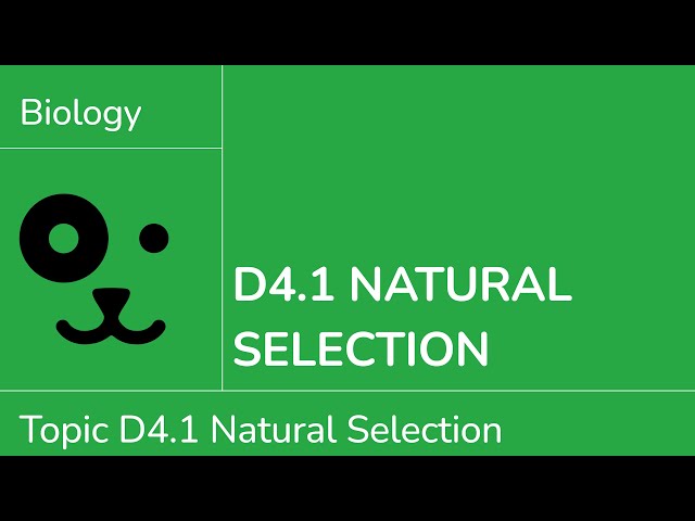 D4.1 Natural Selection [IB Biology SL/HL]