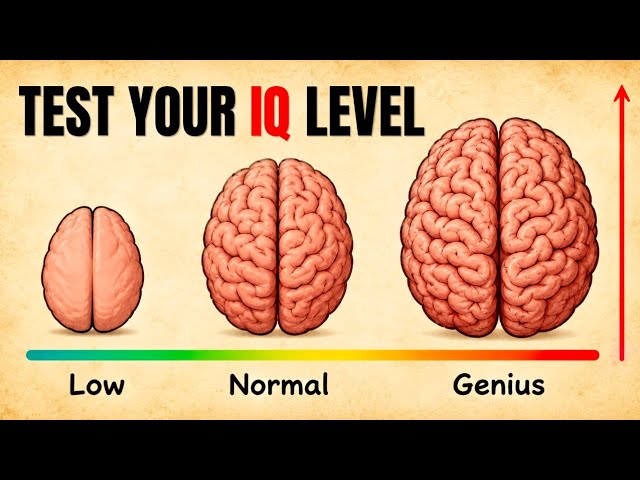 Test Your IQ In 7 MINUTES