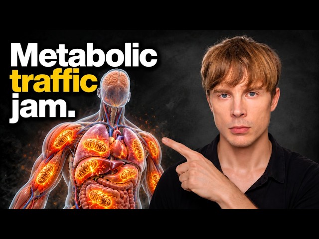 Your Mitochondria Are Destroying Your Metabolism