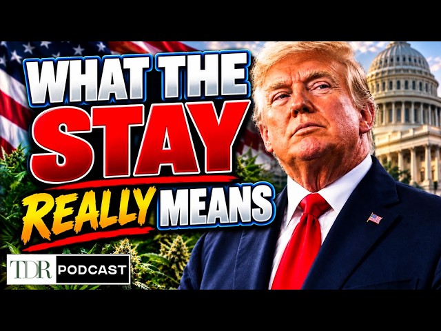 What the DEA Stay Actually Means | TDR Cannabis in 5