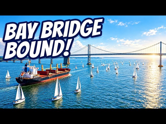 Cruising to the Bay Bridge: A Day on the Water