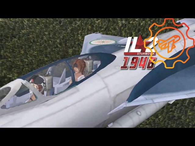 IL21946  Баболетам пора в небо.