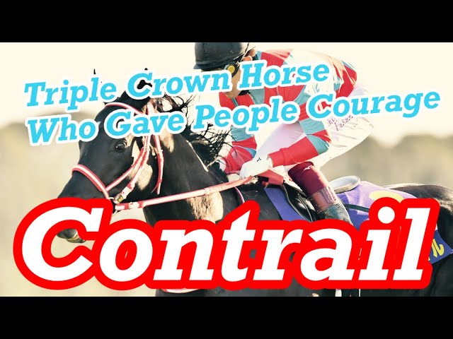 Contrail（コントレイル）, introduce the great horse of Japan