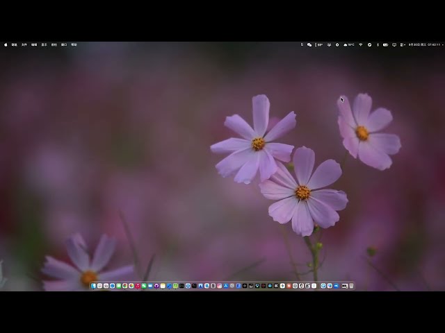 Cosmos new arrivals daily. App: Dynamic Wallpaper Library