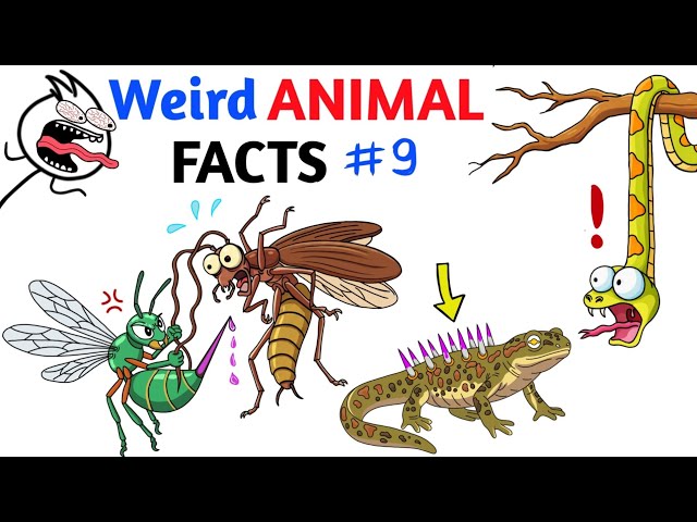 Weird Animal Facts You Never Knew - Part 9