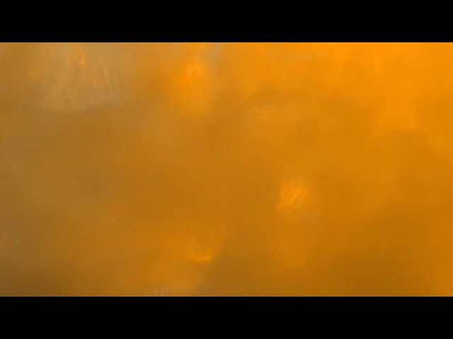 B6-19 Color Video cc0 license injected