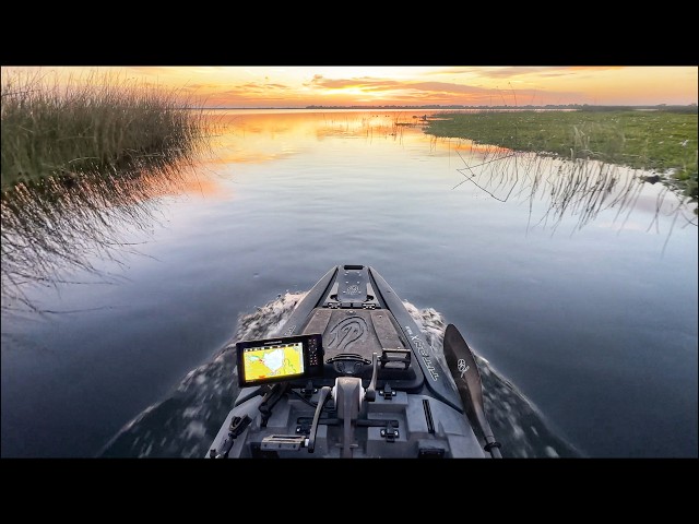 Lets go fishing...
