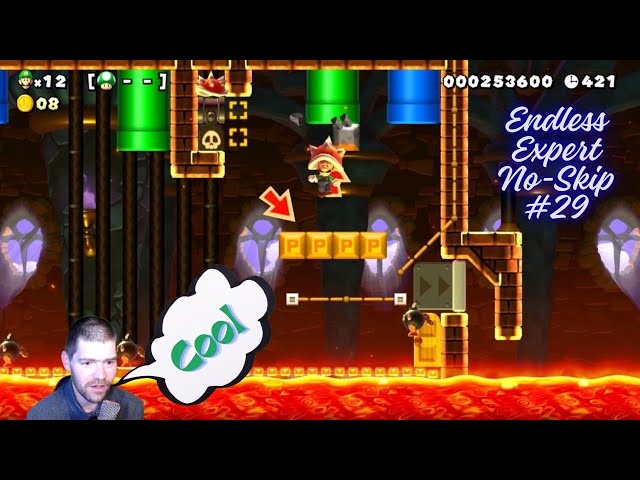 SMM2 Endless Expert No Skip #29