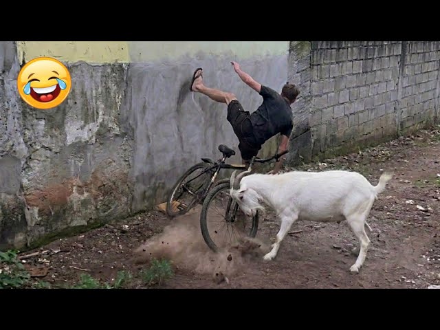 Try Not To Laugh 🤣 Top 100 Funniest Videos Ever 🎬🔥 Memes, Epic Fails & Pranks Compilation Part 36