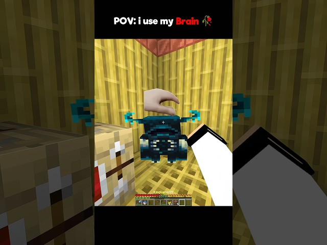 POV: i use My Brain 🥀