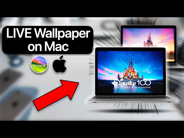 How to set Live Wallpaper on Mac in 2026