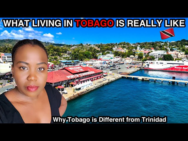 So This Is What Tobago Life Is Really Like? 🇹🇹 # Trinidad & Tobago