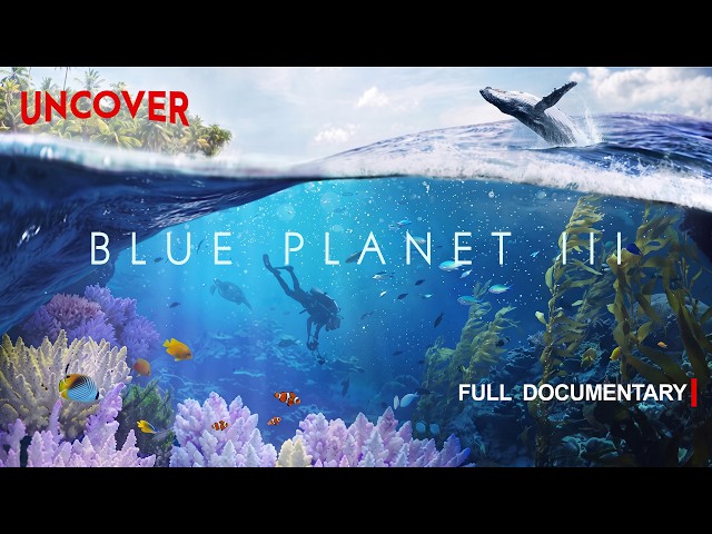 BLUE PLANET III | Many Worlds, One Living Ocean | FULL DOCUMENTARY