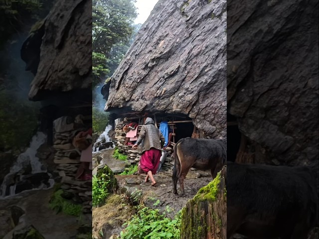 Remote Mountain Life in Nepal | Traditional Himalayan Cave Living