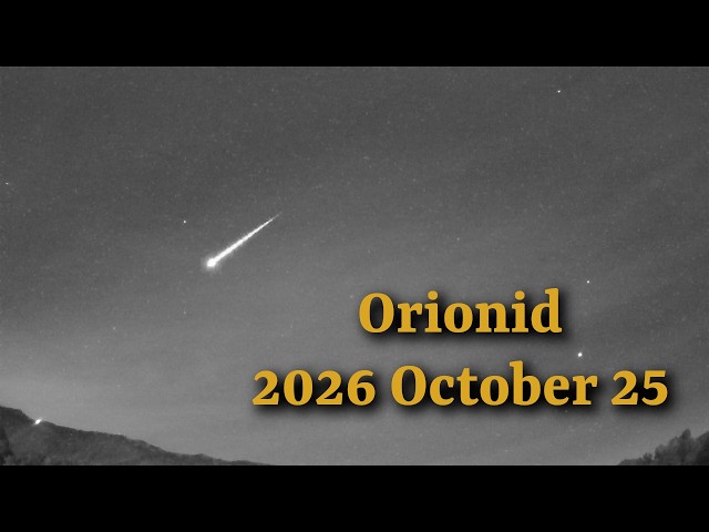 Bright Orionid on 2026 October 25