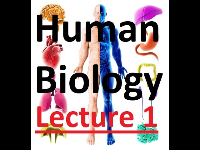 Human Biology 1.1   Introduction to Human Biology