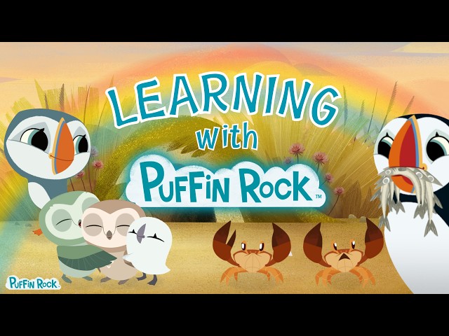 Learning with Puffin Rock 🌊 | Fun Compilation