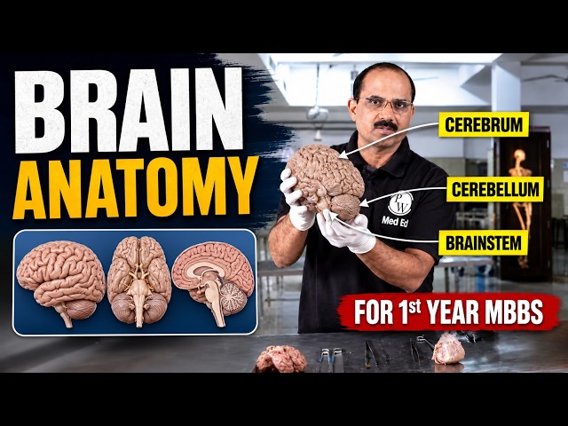 Brain Antaomy Explained ! | 1st Year MBBS Anatomy |  Dr. Pradeep Pawar Sir
