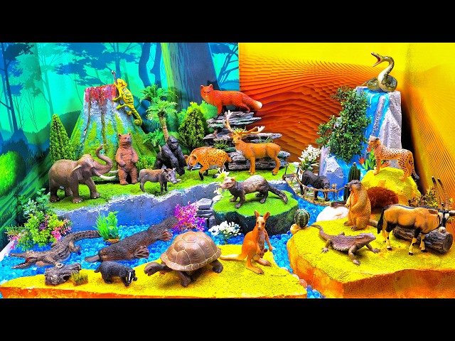 Wildlife Learning Journey for Kids | Forest, River & Desert Animal Adventure 🐘🦘🐊