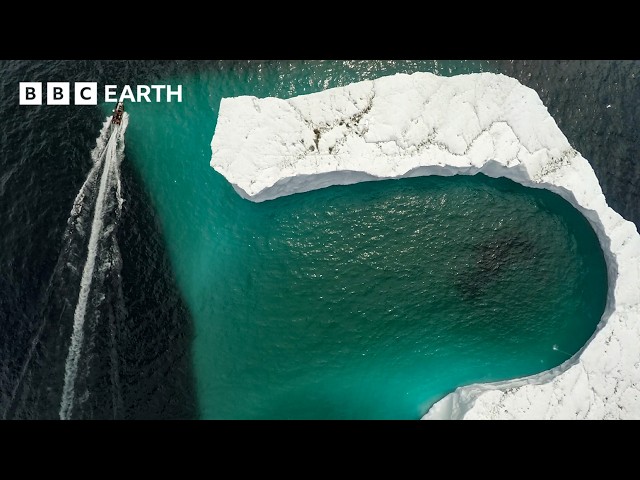 What Do Icebergs Look Like Below the Surface? | BBC Earth Science