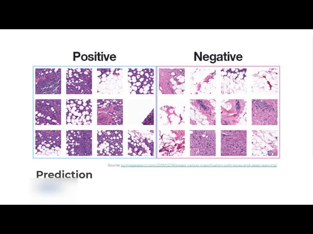 Lesson 01: Introduction to Data Science