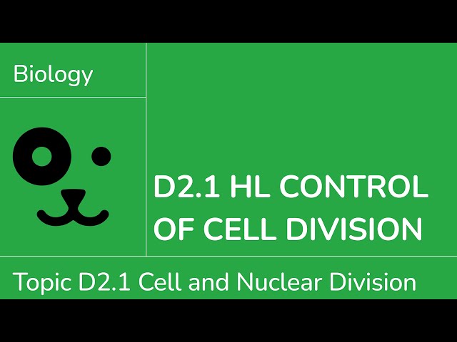 D2.1 HL Control of Cell Division [IB Biology HL]