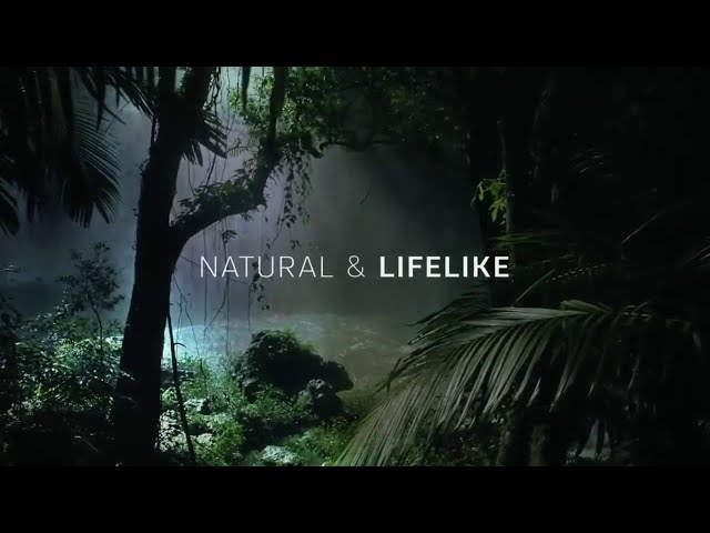 Be immersed in LG OLED 360° sound
