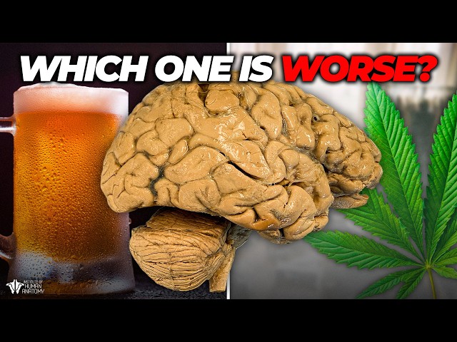 Alcohol or THC: Which is Worse?