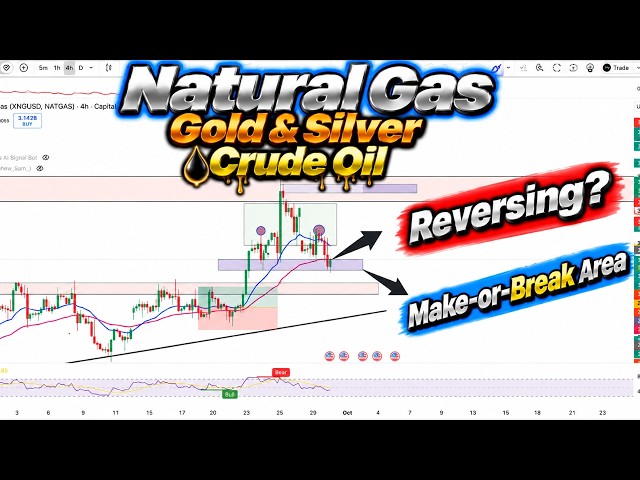 Natural Gas Reversing? At a Make-or-Break Area — Watch This! | Gold, Silver & Crude Oil Update