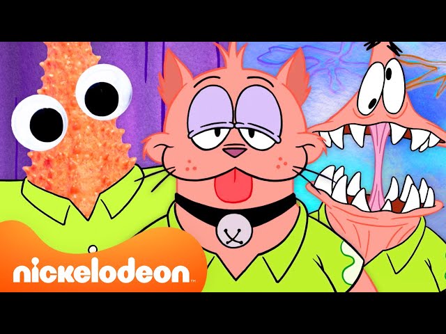 Patrick In The Multiverse for 35 Minutes Straight 🤯 | SpongeBob | Nicktoons