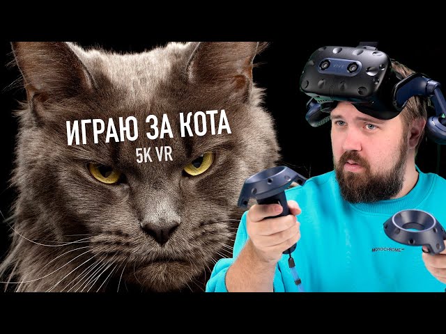 Playing as a cat in VR 5K 120fps - HTC VIVE Pro 2