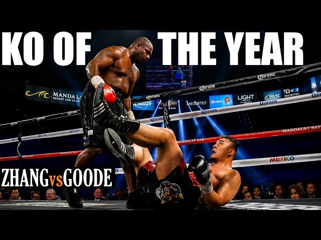 Zhilei Zhang (CHN) - Juan Goode (USA) FULL HIGHLIGHTS FIGHT