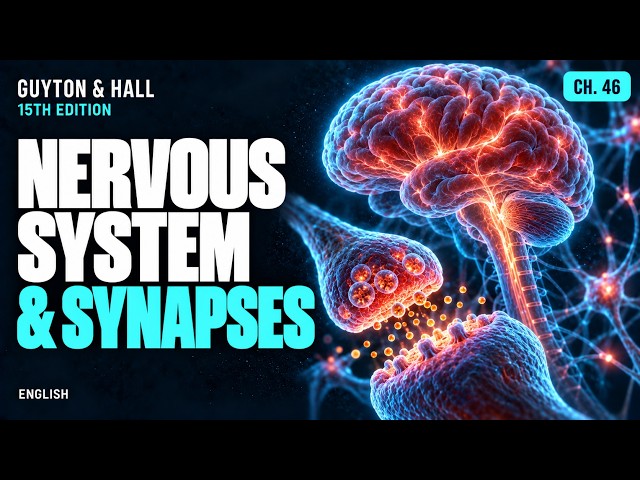 Chapter 46: Organization of the Nervous System | Medical Physiology — Guyton & Hall 15th Ed