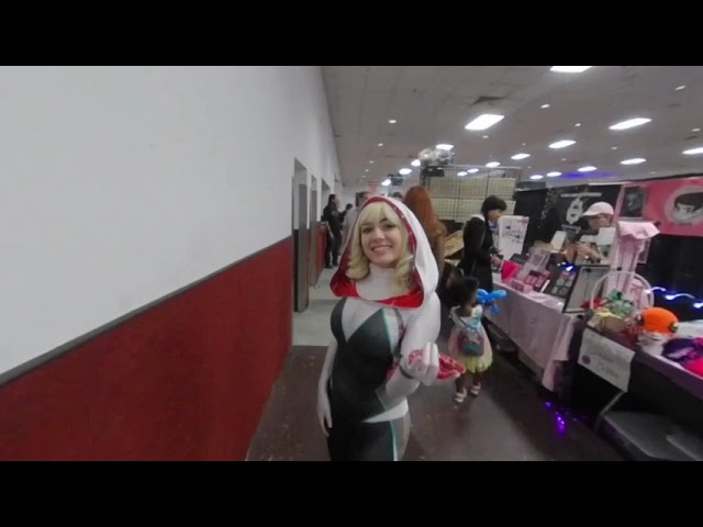 Collective Con 2019 3D VR180 Cosplay Video