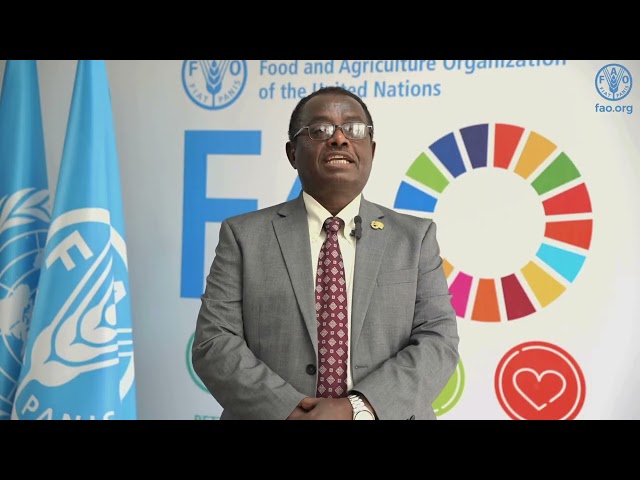 Transforming Africa's Agrifood Systems Through Science & Innovation | FAO's Abebe Haile-Gabriel_ Am