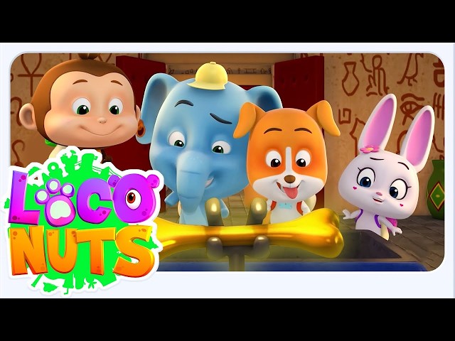 LIVE: Loco Nuts: Bu Komik Macerada Ne Olacak? 👀 | Çocuklar İçin Çizgi Film