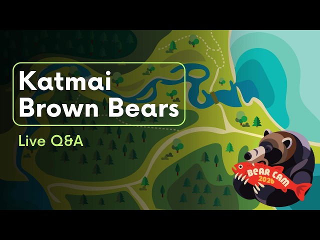 LIVE Q&A 9.28.26 | Brooks Live Chat