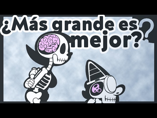 8 Brain Myths Debunked!