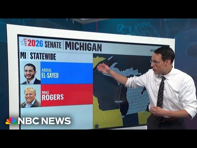 Democrat El-Sayed leads poll in Michigan Senate race