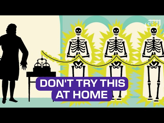 How Fast Does Electricity Travel? | What the Physics?!