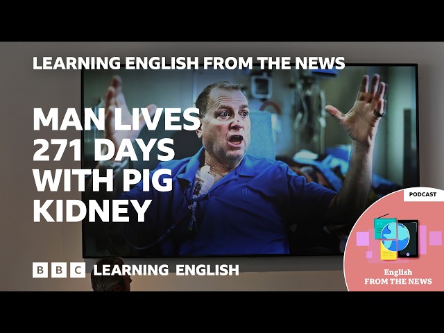 Transplanted pig kidney works inside patient for record nine months | Learning English from the News