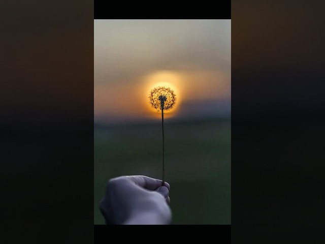 Scroll, repeat, relax. That very relaxing moments 💤😴 #relaxing #aesthetic #asmr