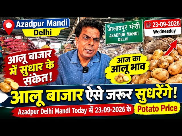 आलू बाज़ार ऐसे जरूर सुधरेंगे, Azadpur 😂Delhi Mandi Today में 23-09-2026 के😂😂 Potato Price 