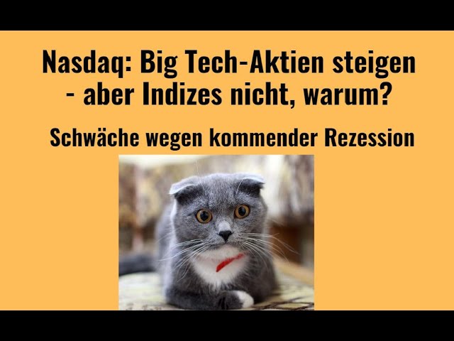 Nasdaq: Big Tech-Aktien steigen - aber Indizes nicht, warum? Videoausblick