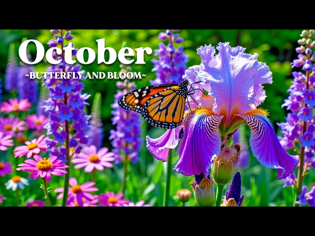 A Peaceful October Garden 8K 🦋 Autumn Flowers & Soft Piano for Deep Relaxation