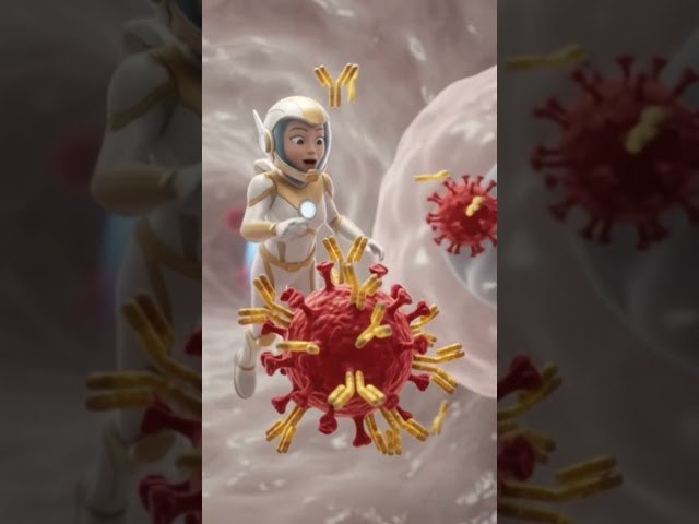 Immune System vs Virus 🦠 | The Battle Inside Your Body
