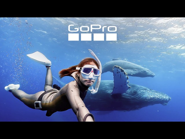 GoPro's Most Beautiful Underwater Moments
