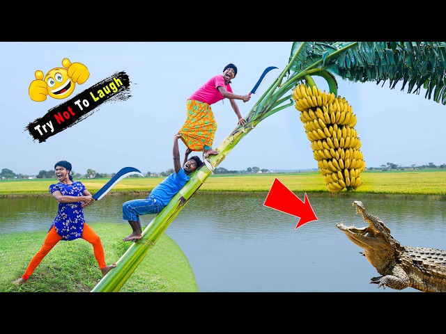 Exclusive Top Funny Video very special funny video 2026 try not to laugh 😂 Ep 295 By Bidik Fun Tv