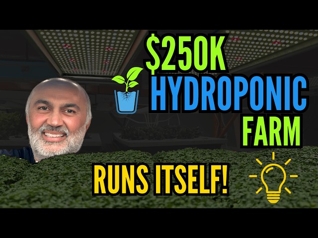 $250K Hydroponic Farm That Practically Runs Itself